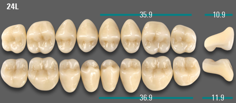 VITA VIONIC VIGO Posterior, A3, 24L UK