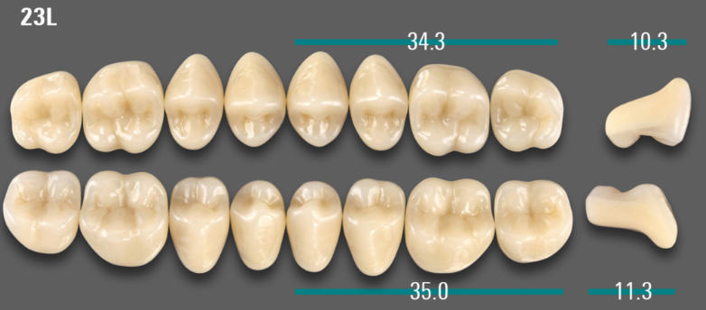 VITA VIONIC VIGO Posterior, B3, 23L UK
