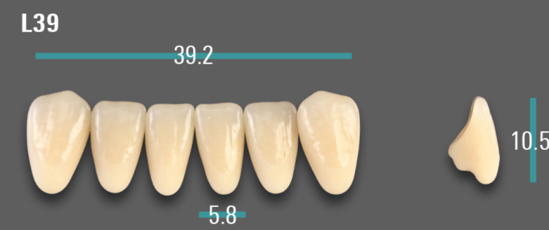 VITA VIONIC VIGO Anterior, B3, L39
