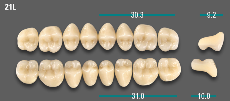 VITA VIONIC VIGO Posterior, D3, 21L UK