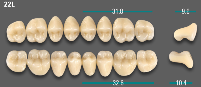 VITA VIONIC VIGO Posterior, D3, 22L UK