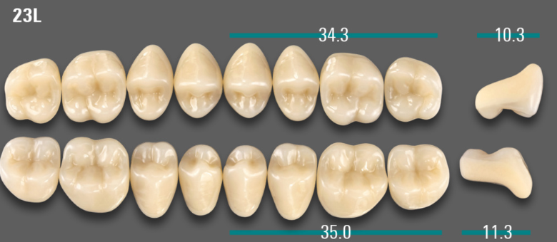 VITA VIONIC VIGO Posterior, D3, 23L UK