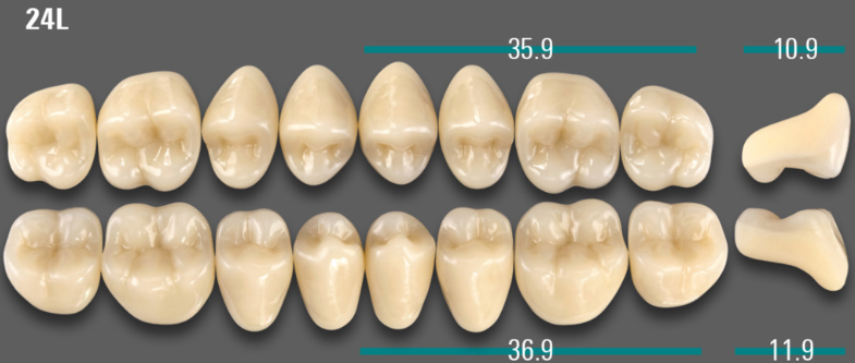 VITA VIONIC VIGO Posterior, D3, 24L OK
