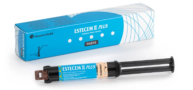 Estecem II Plus Paste Universal