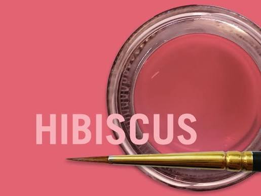 MIYO PINK HIBISCUS PASTE 4G