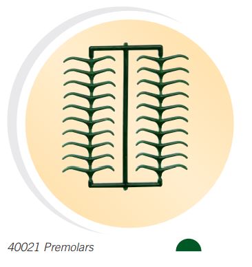 [BE40021] WAX PATTERNS PREMOLAR CLASPS /200