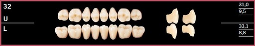 [DL32UD4] 32U-D4 DELARA TEETH UPPER POSTERIOR