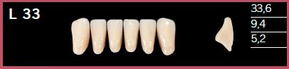 [DLL33BL3] L33-BL3 DELARA TEETH LOWER ANTERIOR