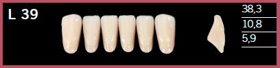 [DLL39C2] L39-C2 DELARA TEETH LOWER ANTERIOR
