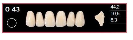 [DLO43BL2] O43-BL2 DELARA TEETH UPPER ANTERIOR