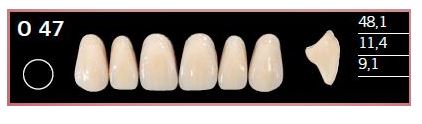 [DLO47BL2] O47-BL2 DELARA TEETH UPPER ANTERIOR