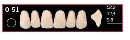 [DLO51BL2] O51-BL2 DELARA TEETH UPPER ANTERIOR