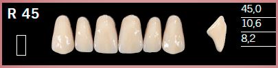 [DLR45B2] R45-B2 DELARA TEETH UPPER ANTERIOR