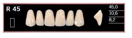 [DLR45BL2] R45-BL2 DELARA TEETH UPPER ANTERIOR
