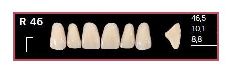 [DLR46BL2] R46-BL2 DELARA TEETH UPPER ANTERIOR
