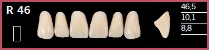 [DLR46D4] R46-D4 DELARA TEETH UPPER ANTERIOR