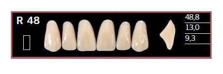[DLR48BL2] R48-BL2 DELARA TEETH UPPER ANTERIOR