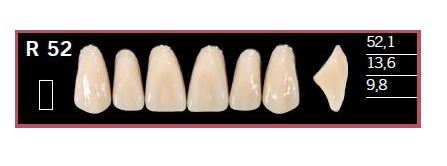 [DLR52BL2] R52-BL2 DELARA TEETH UPPER ANTERIOR