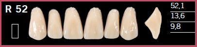 [DLR52D4] R52-D4 DELARA TEETH UPPER ANTERIOR