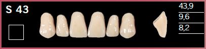 [DLS43D3] S43-D3 DELARA TEETH UPPER ANTERIOR