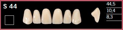 [DLS44A4] S44-A4 DELARA TEETH UPPER ANTERIOR