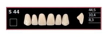 [DLS44BL2] S44-BL2 DELARA TEETH UPPER ANTERIOR
