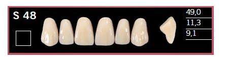 [DLS48BL2] S48-BL2 DELARA TEETH UPPER ANTERIOR