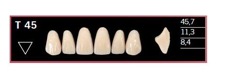 [DLT45BL2] T45-BL2 DELARA TEETH UPPER ANTERIOR