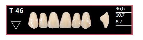 [DLT46BL2] T46-BL2 DELARA TEETH UPPER ANTERIOR