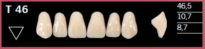 [DLT46D4] T46-D4 DELARA TEETH UPPER ANTERIOR