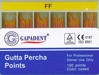 [GAGPAFF] GUTTA PERCHA POINTS FF ACCESSORY BOX 100