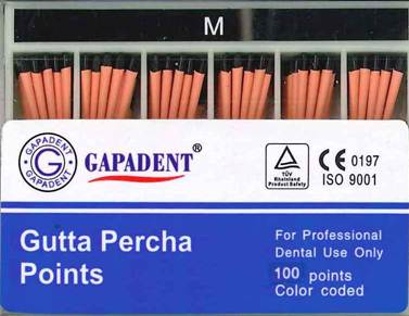 [GAGPAM] GUTTA PERCHA POINTS M ACCESSORY BOX 100