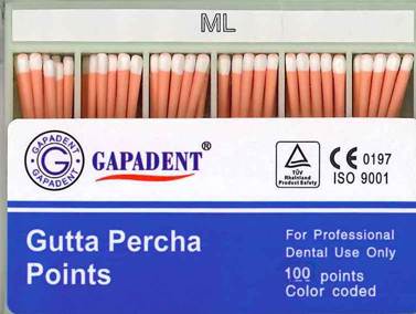 [GAGPAML] GUTTA PERCHA POINTS ML ACCESSORY BOX 100