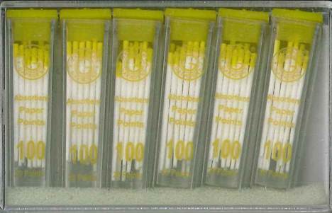 [GAPPV100] PAPER POINTS CC 100 VIAL/34