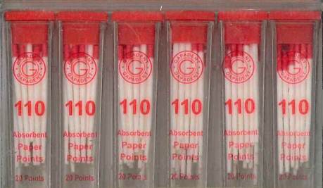 [GAPPV110] PAPER POINTS CC 110 VIAL/34