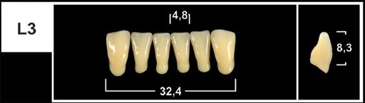 [GBL3-A1L] L3 A1 LOWER ANTERIOR TRIBOS TEETH
