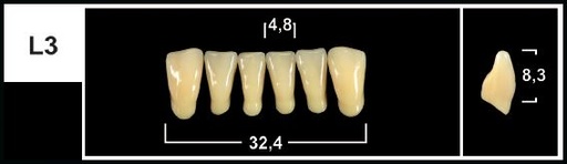 [GBL3-B2L] L3 B2 LOWER ANTERIOR TRIBOS TEETH