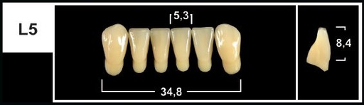[GBL5-A35L] L5 A3.5 LOWER ANTERIOR TRIBOS TEETH