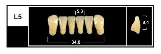 [GBL5-BL3] L5 BL3 LOWER ANTERIOR TRIBOS TEETH