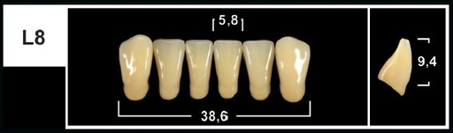 [GBL8-B2L] L8 B2 LOWER ANTERIOR TRIBOS TEETH