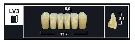 [GBLV3-BL3] LV3 BL3 LOWER ANTERIOR TRIBOS TEETH