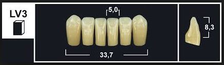 [GBLV3-C1L] LV3 C1 LOWER ANTERIOR TRIBOS TEETH