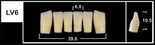 [GBLV6-D2L] LV6 D2 LOWER ANTERIOR TRIBOS TEETH