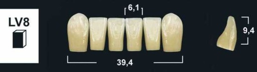 [GBLV8-A2L] LV8 A2 LOWER ANTERIOR TRIBOS TEETH