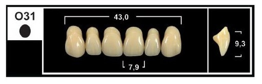 [GBO31-BL3] O31 BL3 UPPER ANTERIOR TRIBOS TEETH