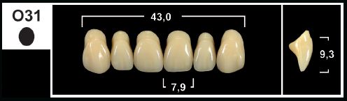 [GBO31-D2U] O31 D2 UPPER ANTERIOR TRIBOS TEETH