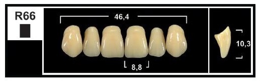 [GBR66-BL3] R66 BL3 UPPER ANTERIOR TRIBOS TEETH