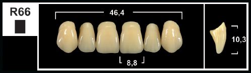 [GBR66-D2U] R66 D2 UPPER ANTERIOR TRIBOS TEETH
