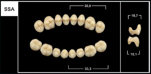 [GBSSA-C3U] SSA C3 UPPER POSTERIOR TRIBOS TEETH