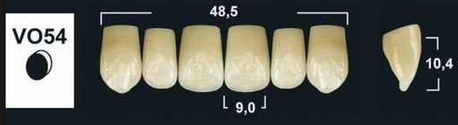 [GBVO54-A3U] VO54 A3 UPPER ANTERIOR TRIBOS TEETH